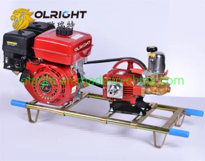 22/30bar Portable Power Sprayer with Gasoline Engine Stretcher Type for Agricultural Irrigation